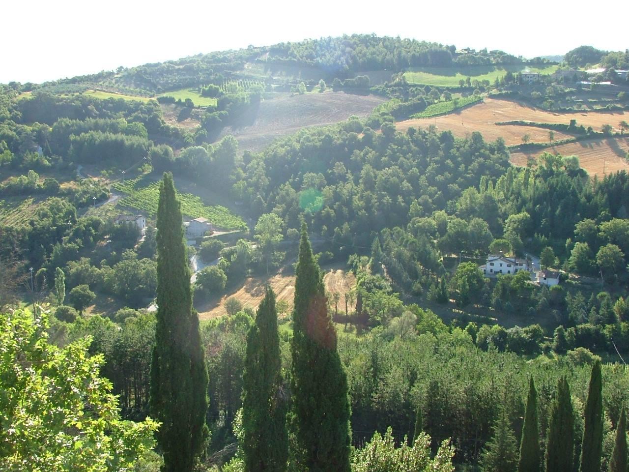 surrounding Villa Pia