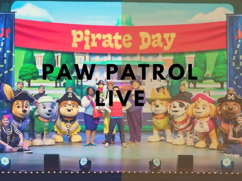 Paw Patrol Live in Theatre Review Monkey and Mouse