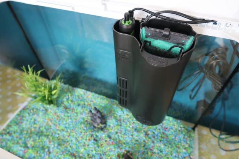 filter and heater attached to tank