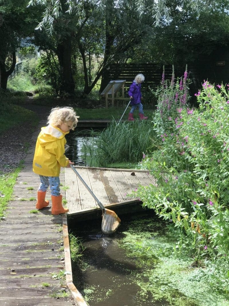 pond dipping in Scotland