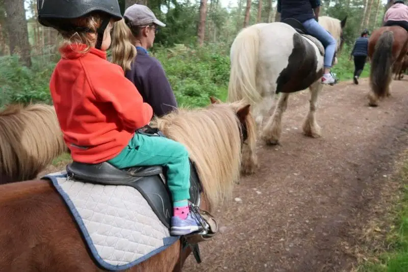 Whinfell Forest pony trek