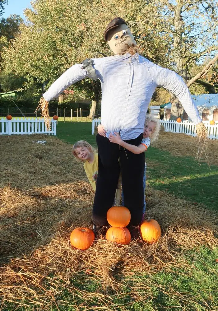 pumpkin patch scarecrow - Monkey and Mouse