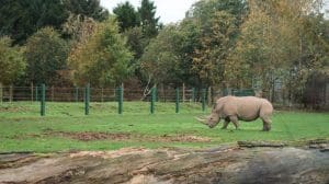 Blairdrummond safari park