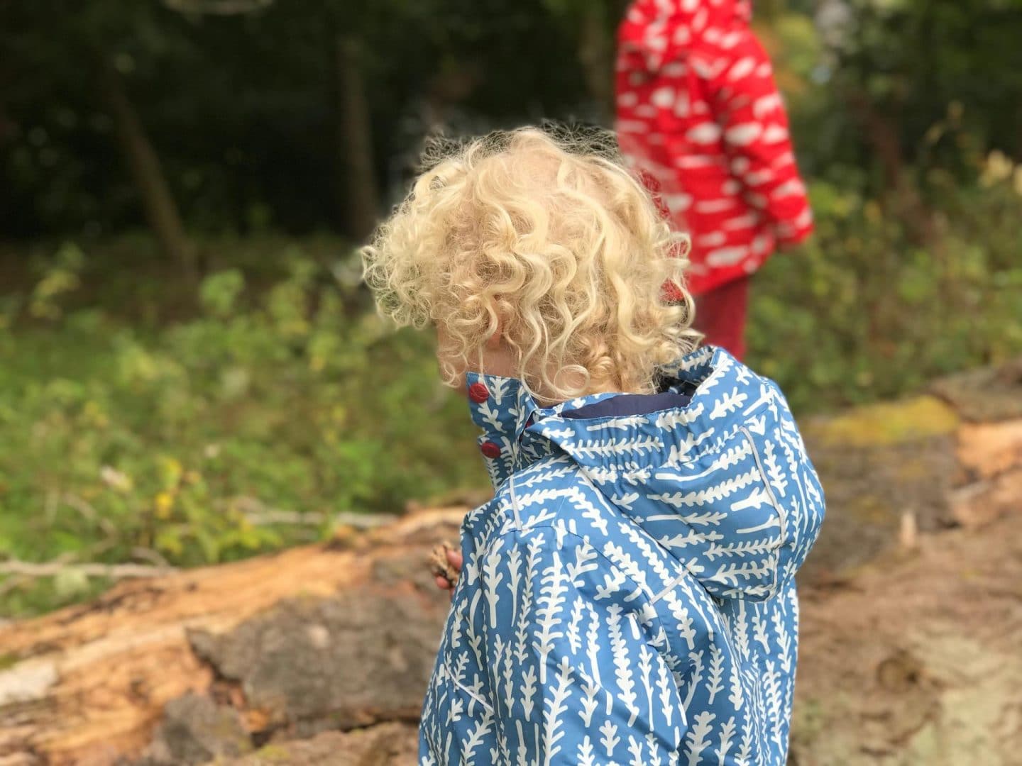 children in the woods