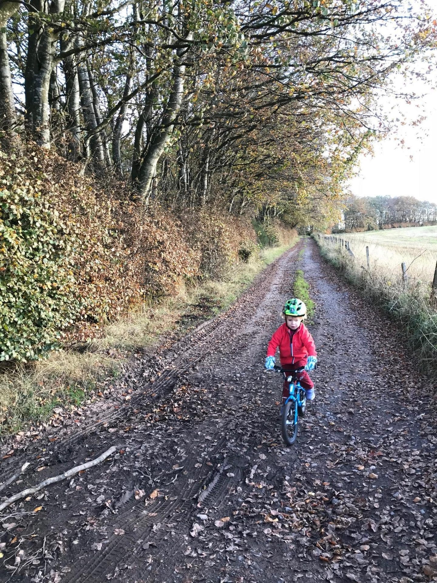 farm track cycling