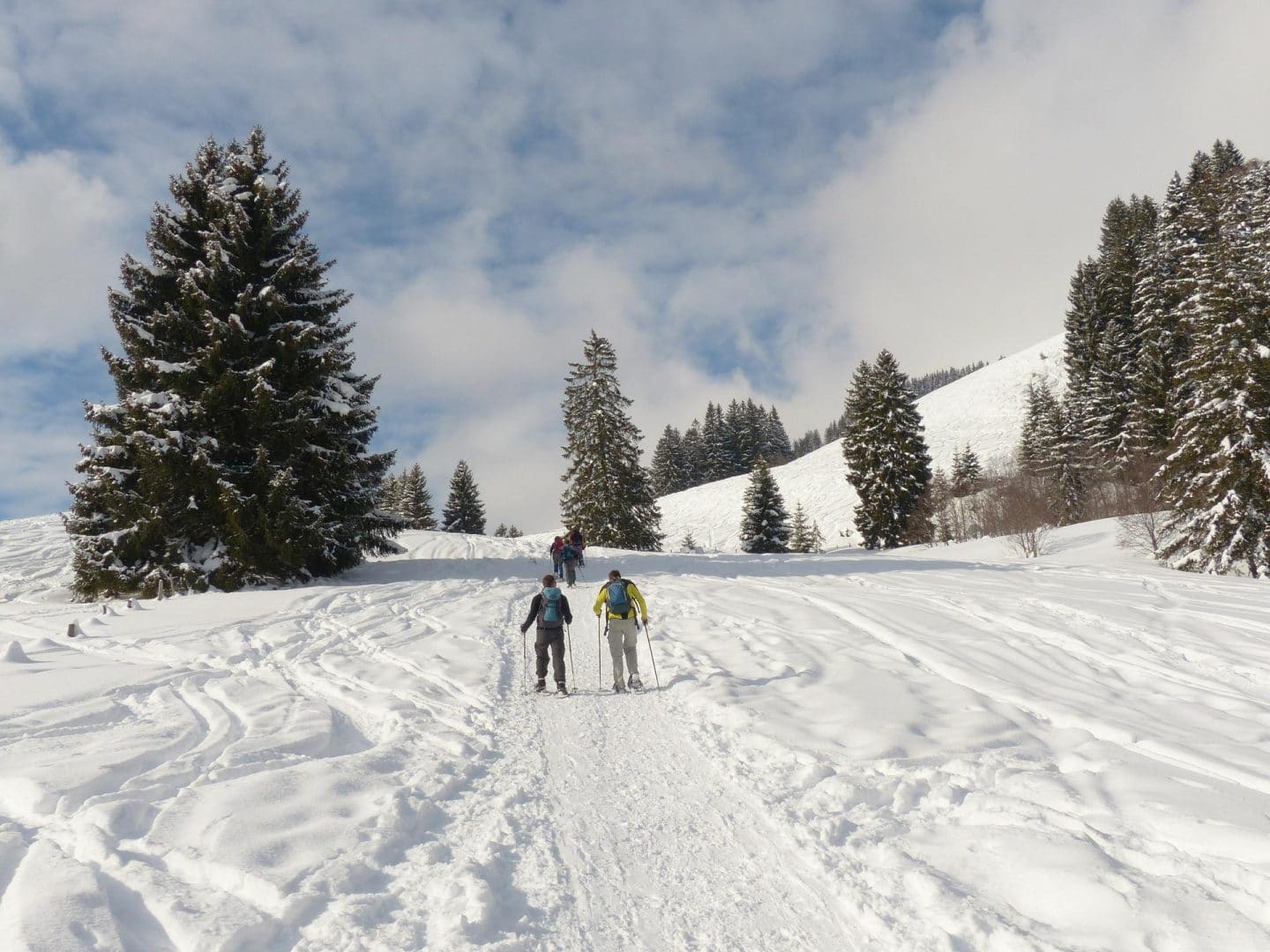 finland snowshoe finland