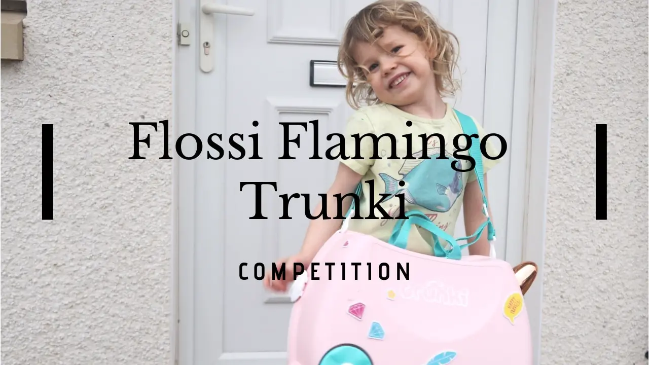 Flossi the cheap flamingo trunki