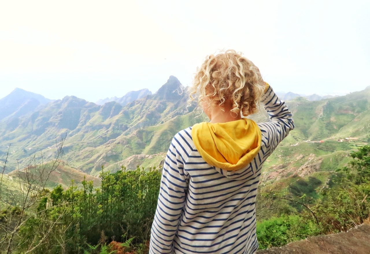 Anaga forest Tenerife