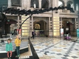 dippy home education