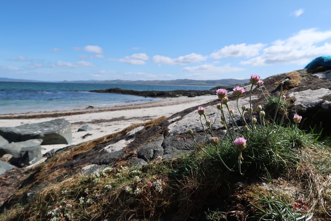 Gigha beaches