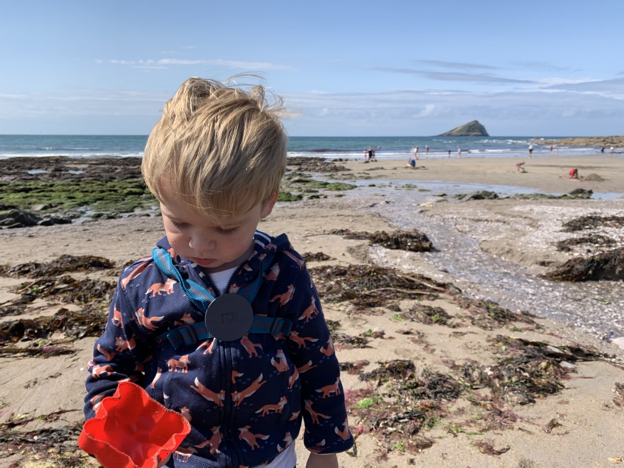 Wembury Beach