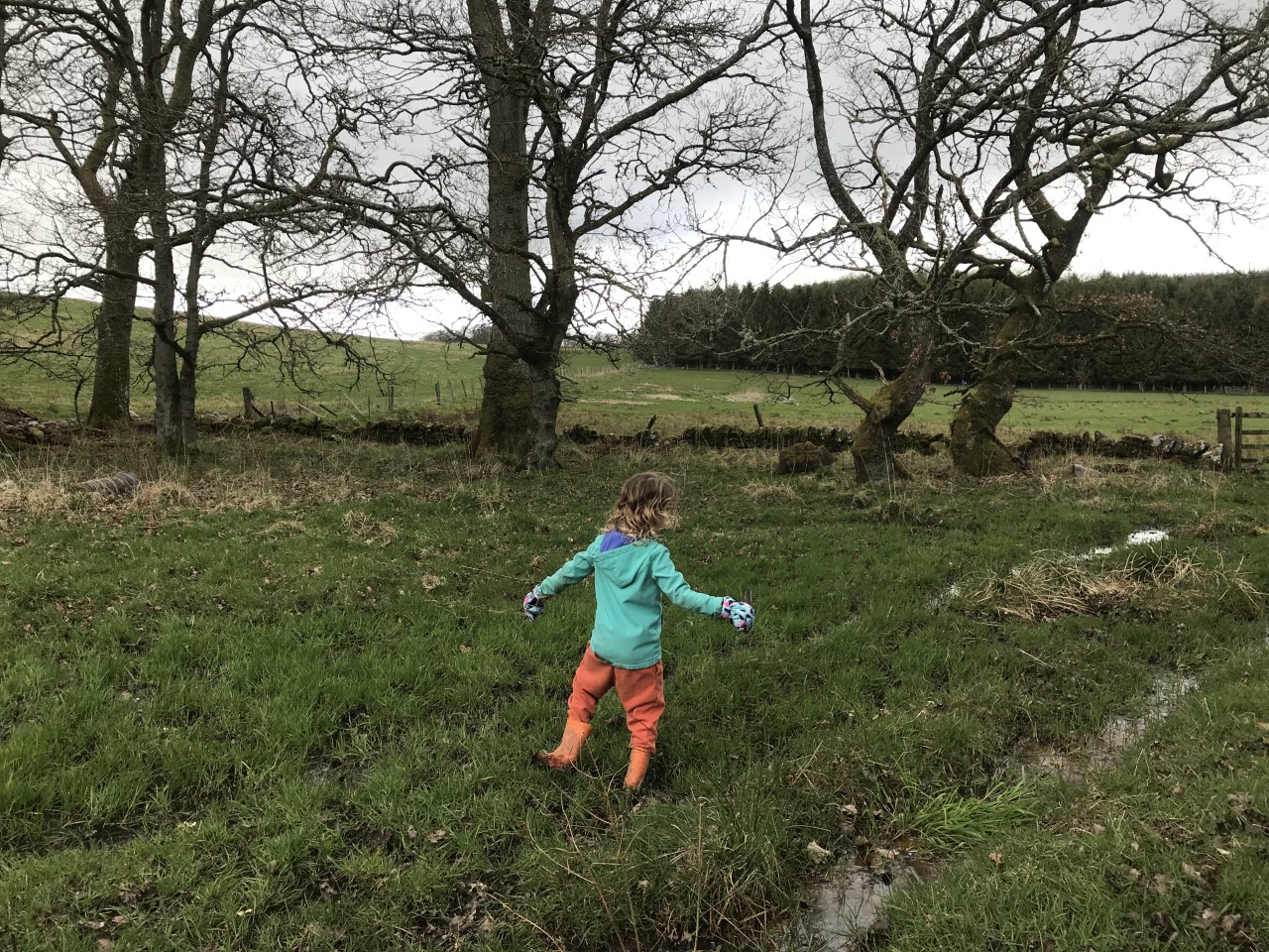 child stuck in bog in a woodland