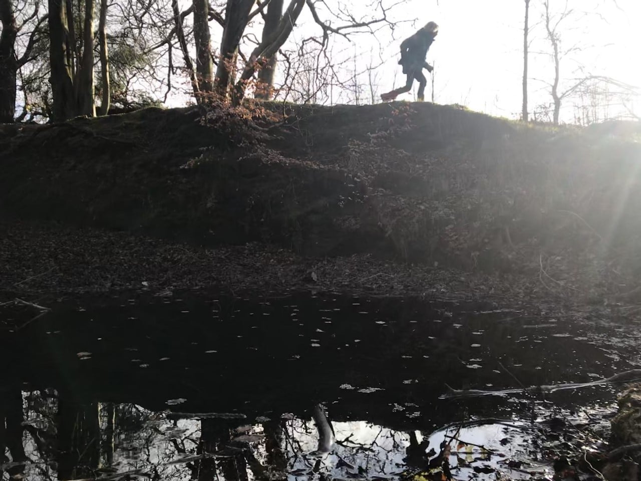 running in the woods