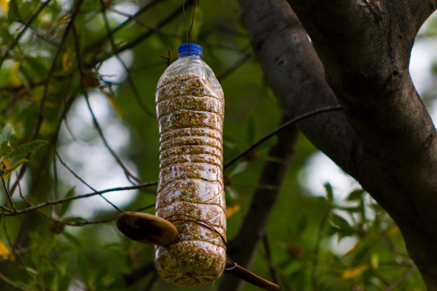 recycled bird feeder