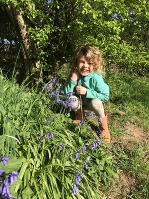 child beside bluebells
