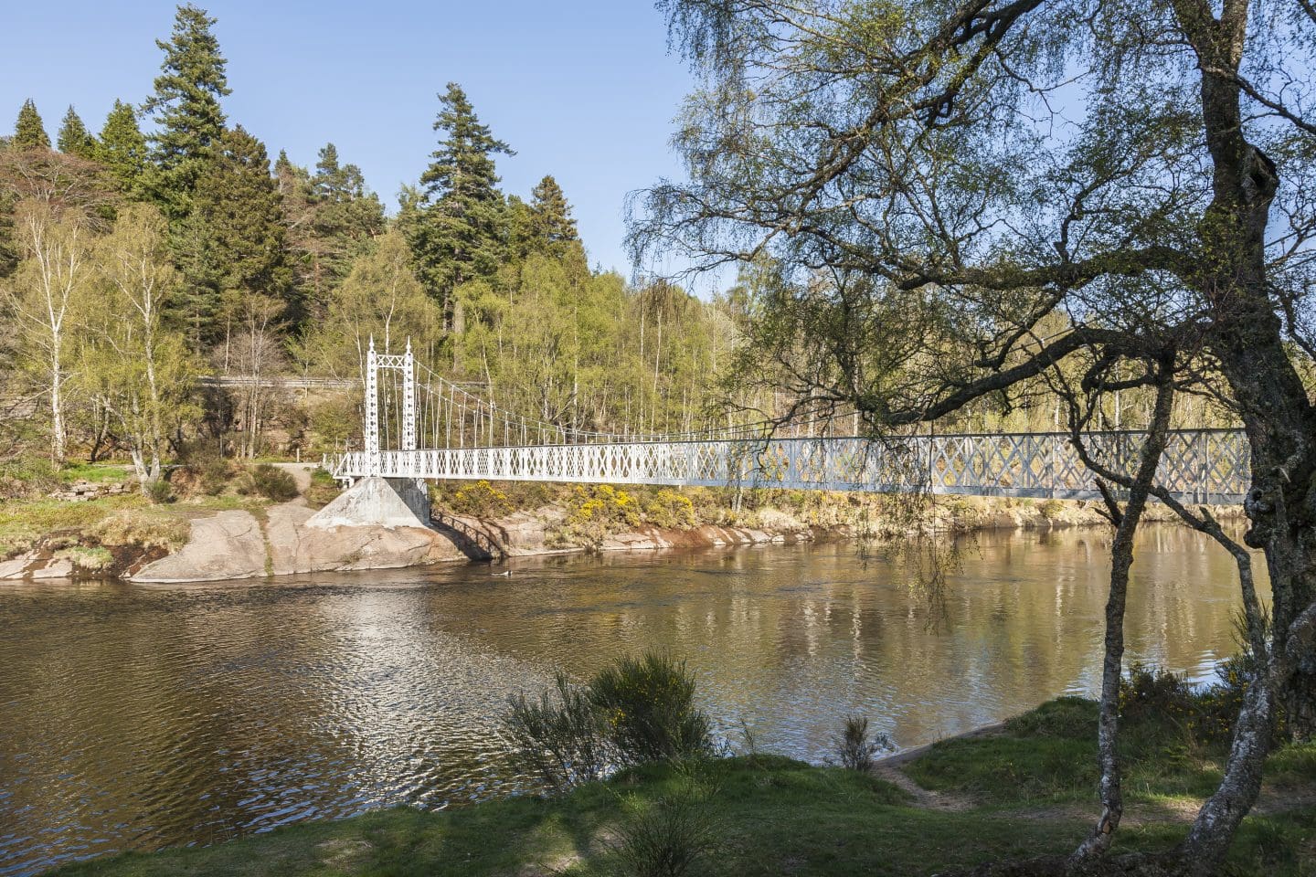 cambus O'May swimming area