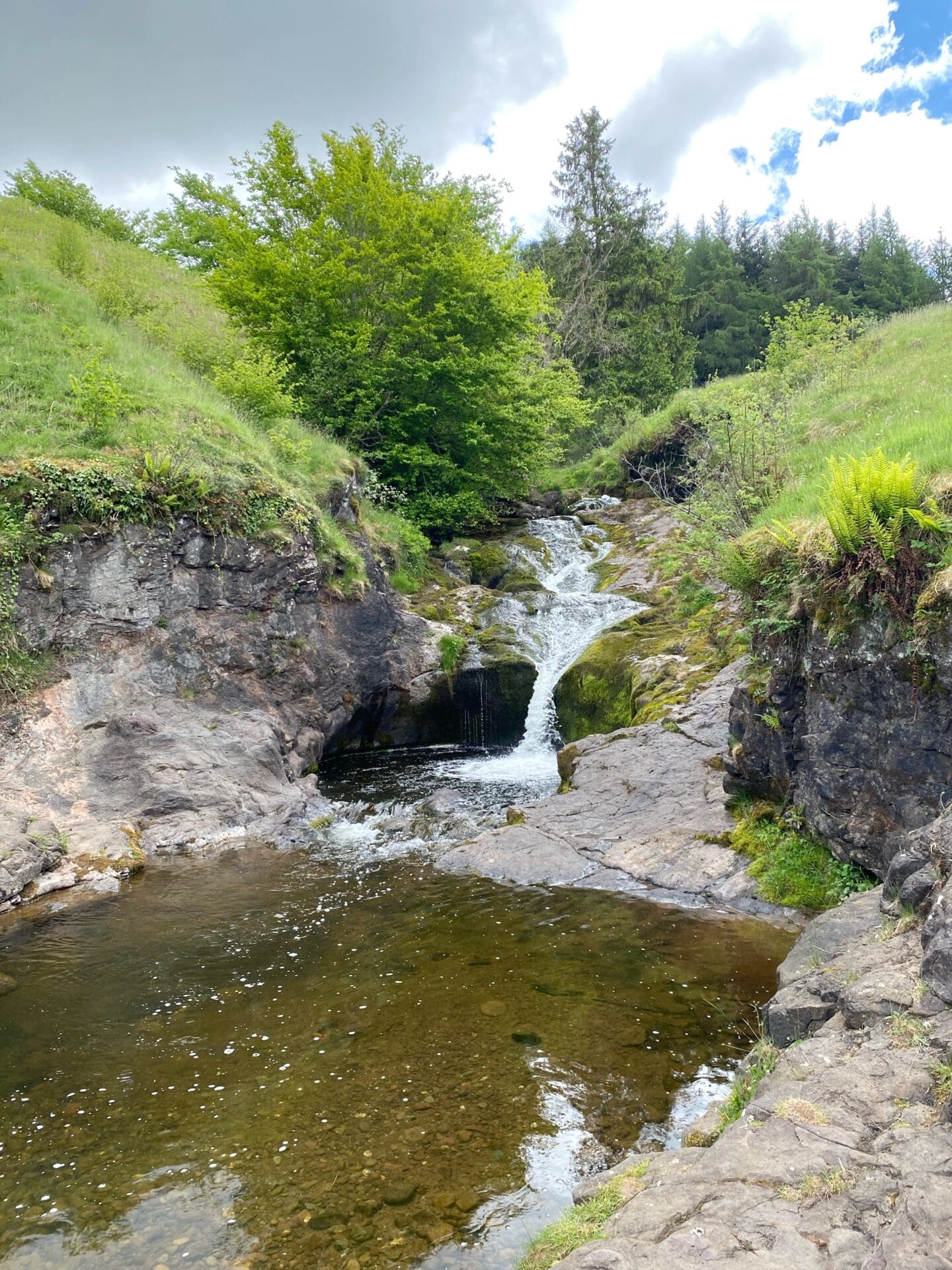 Paradise pools Sherrimuir Dunblane