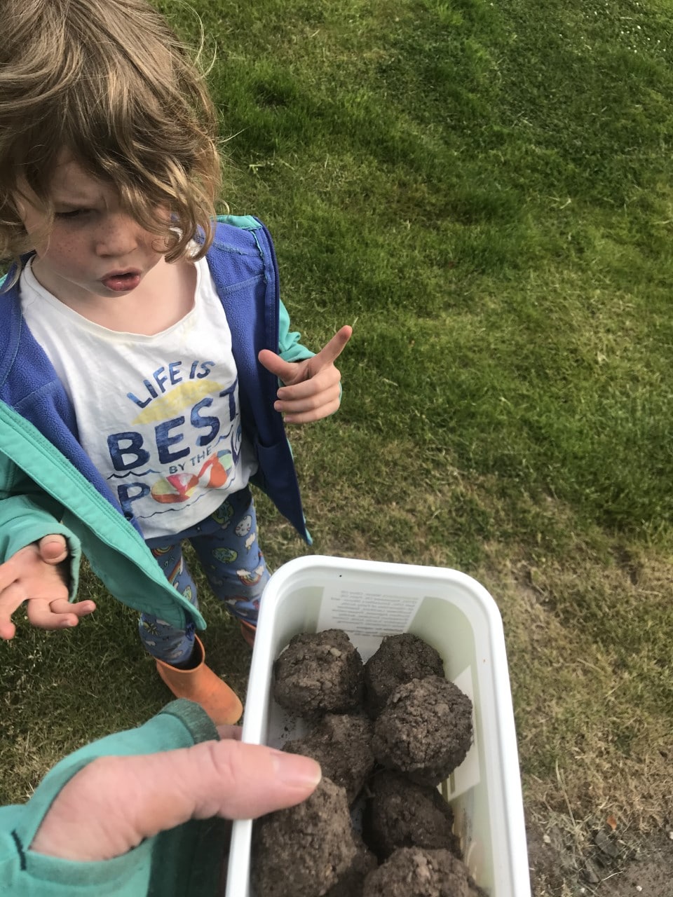 pawprint bee challenge badge seed bombs