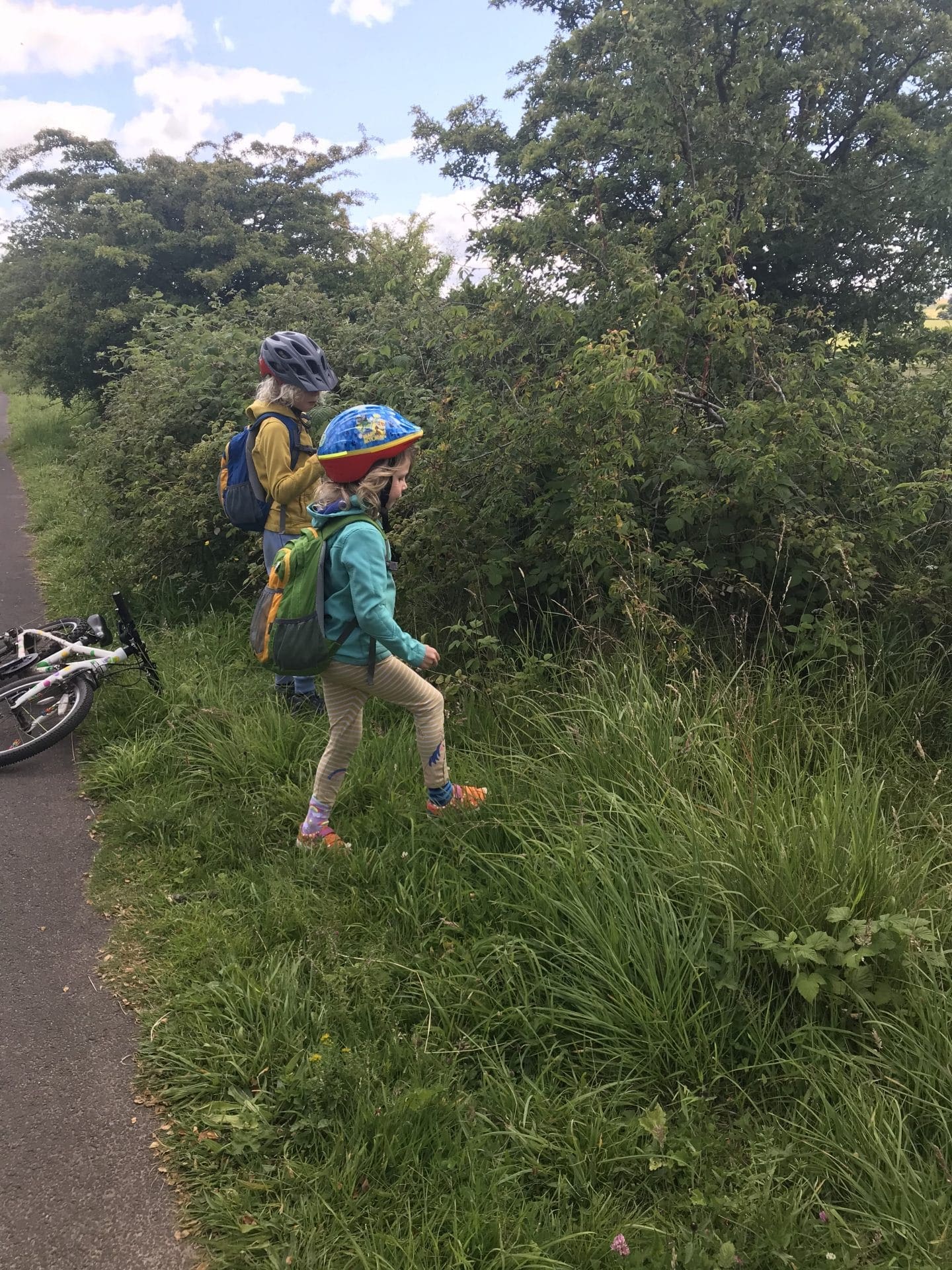 picking raspberries on a bike ride