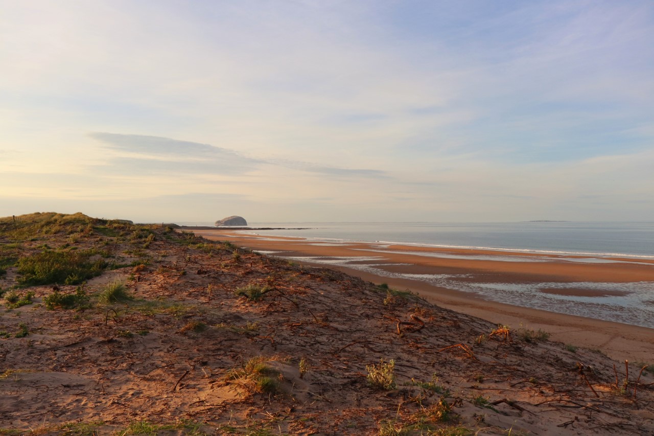 Bass rock Scotland