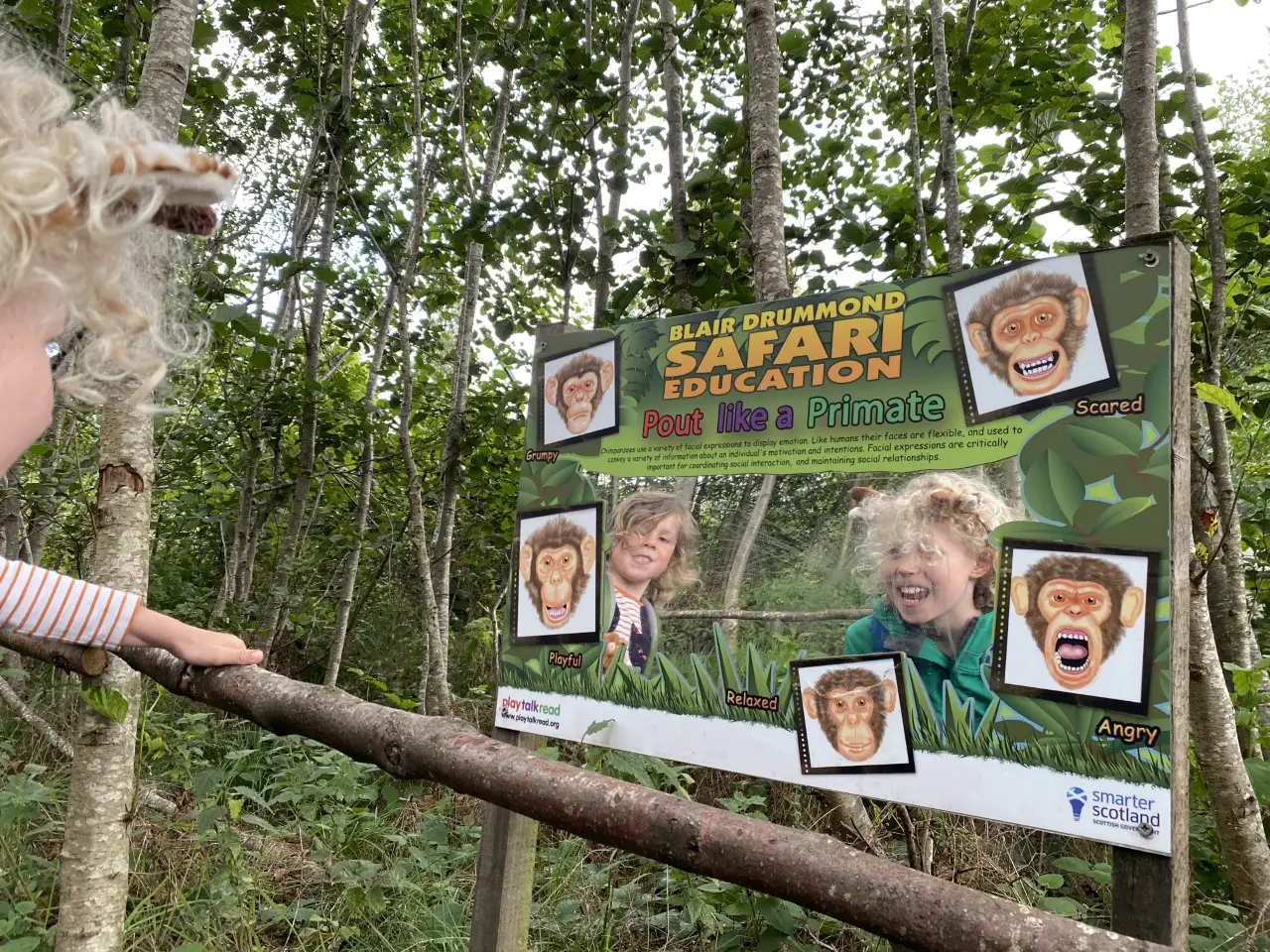 Blairdrummond safari park making chimp faces