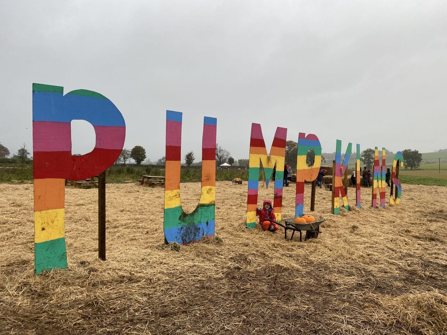 pumpkin picking