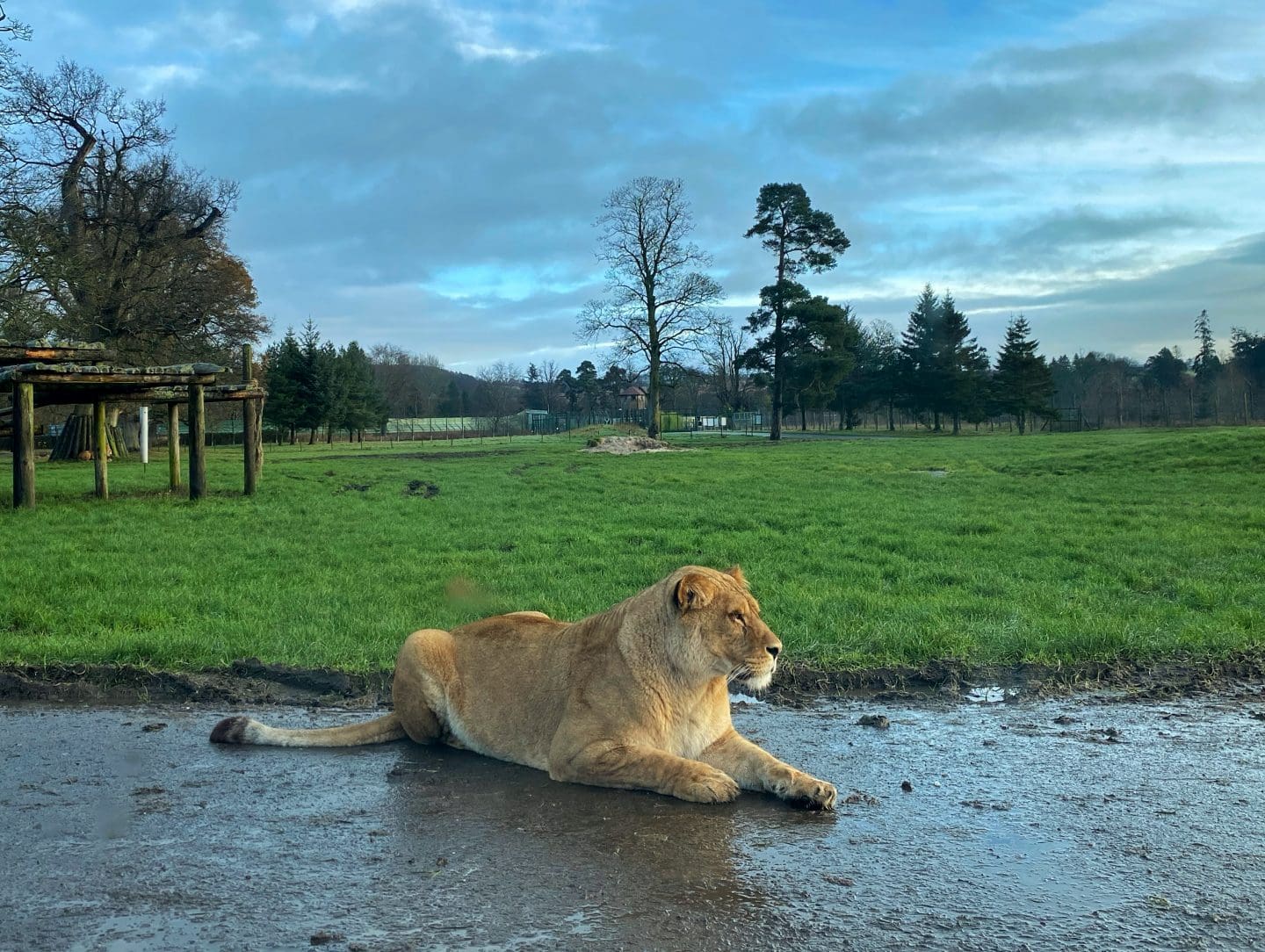 Blairdrummond safari park