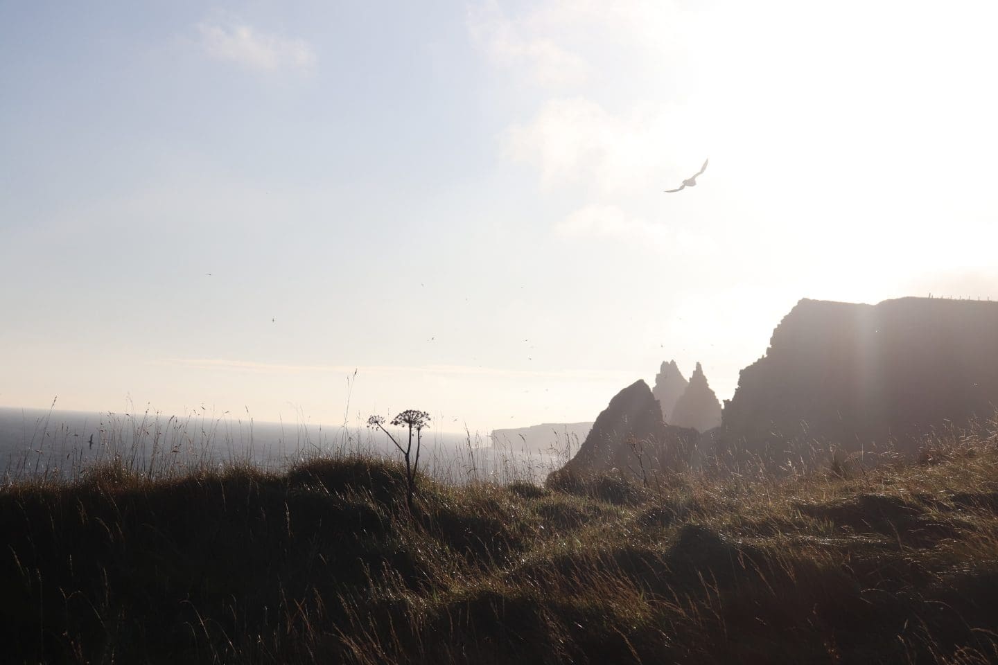 Duncansby Head Sea Stacks