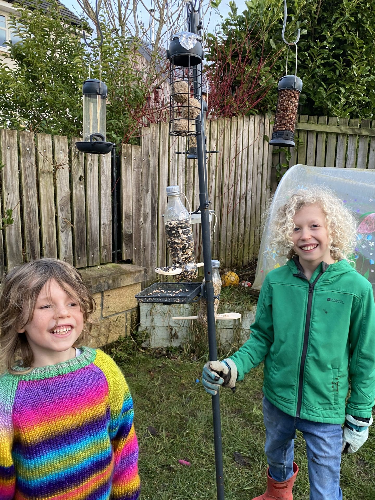 diy bird feeders