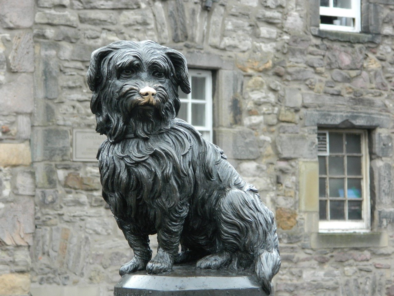 Greyfriar's Bobby