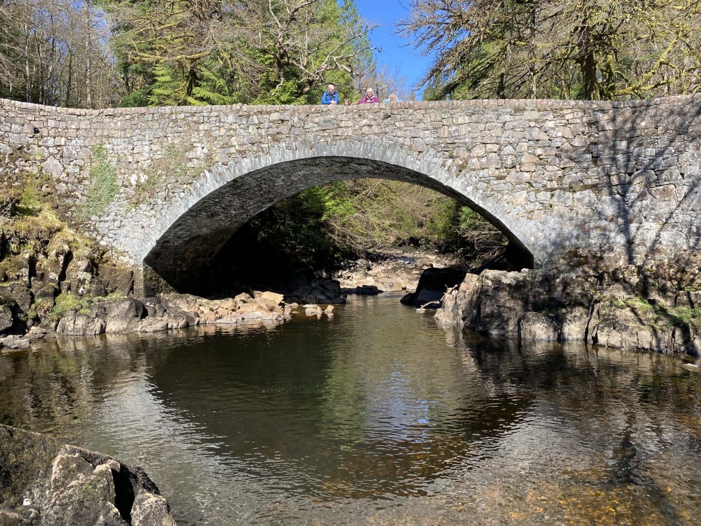 grandparents and grandchildren on an arched bridge over the river