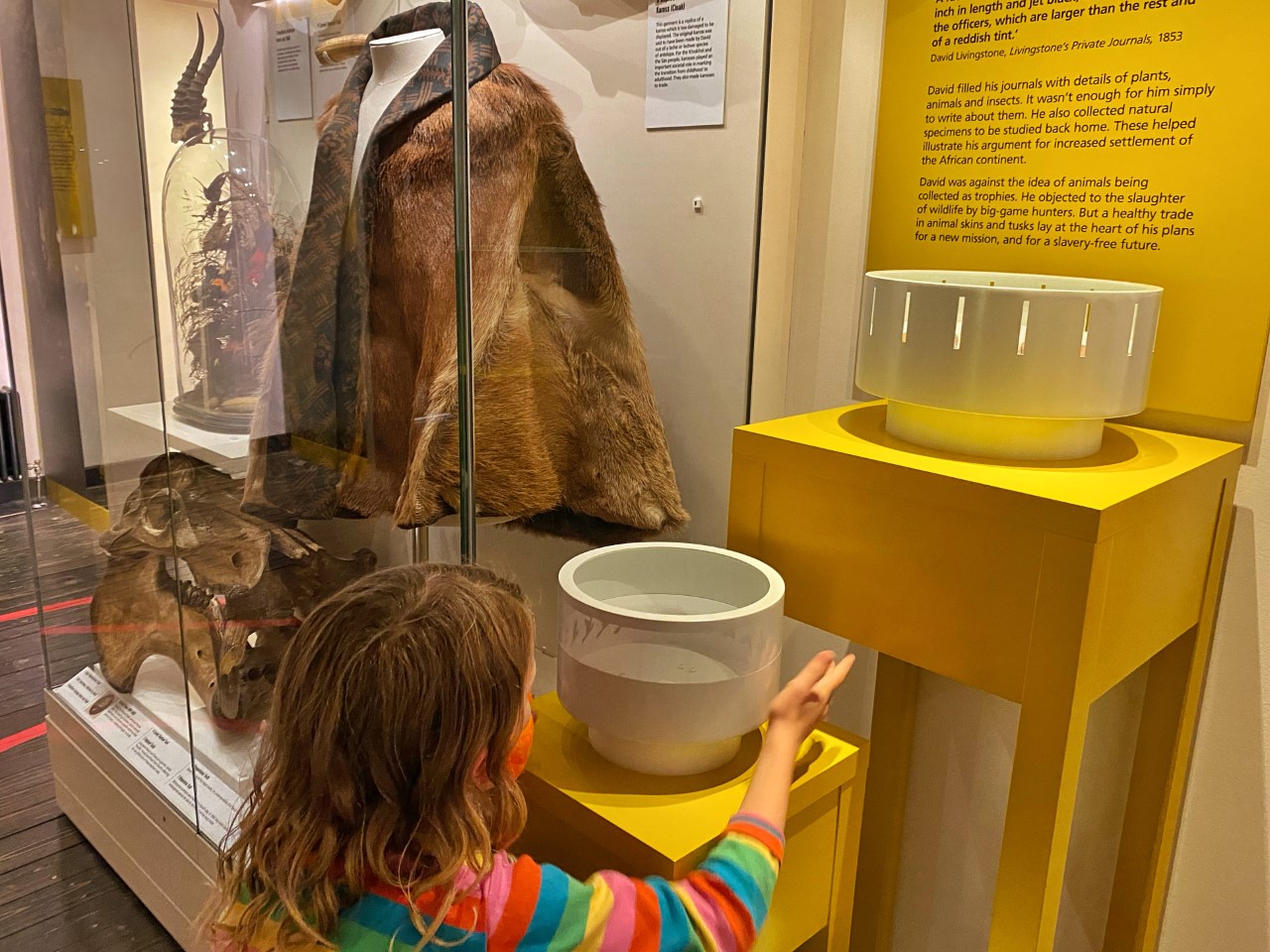 child looking at a zoetrope