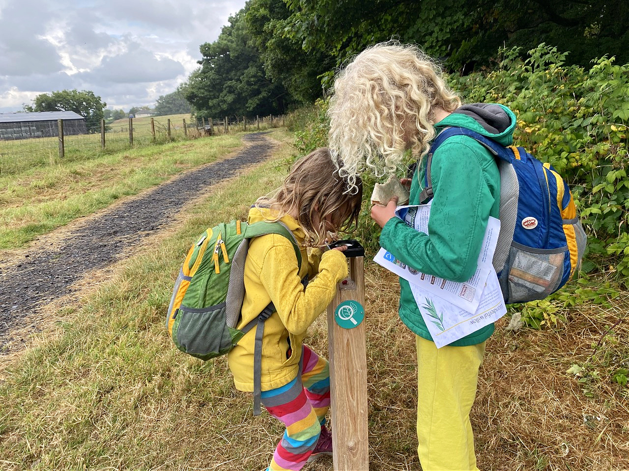 children looking at items in a microscope outdoors