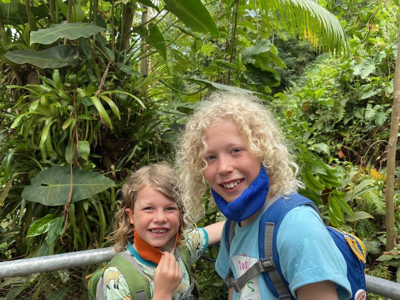 children standing in the rainforest biome of the Eden Project