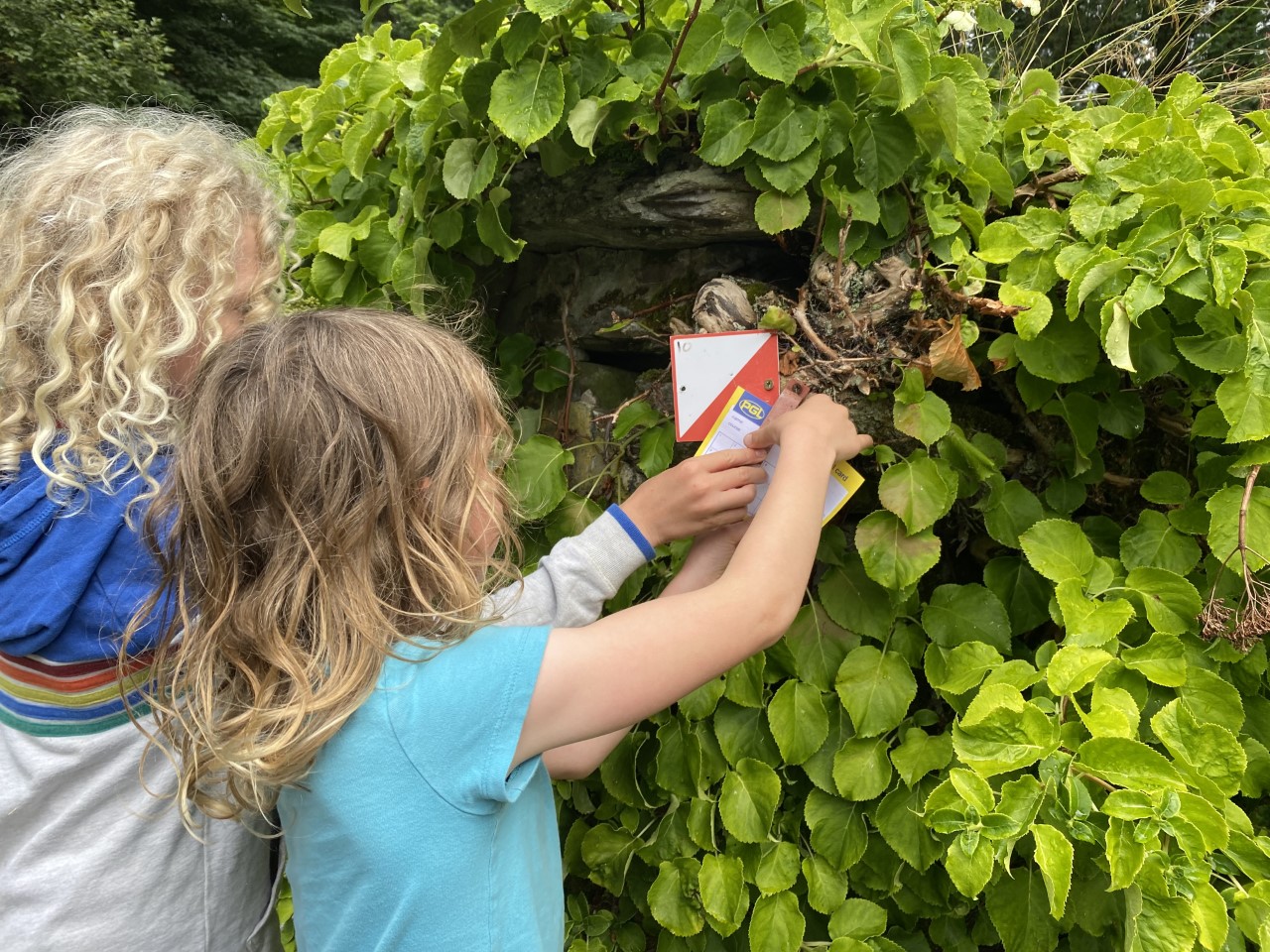 children orienteering
