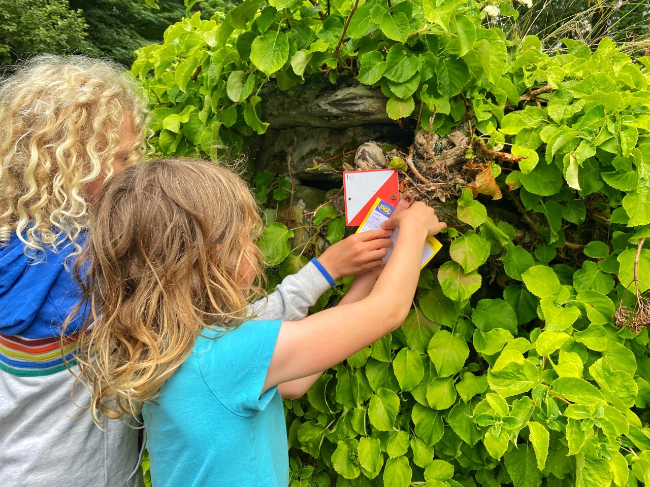 two children punching an orienteering card