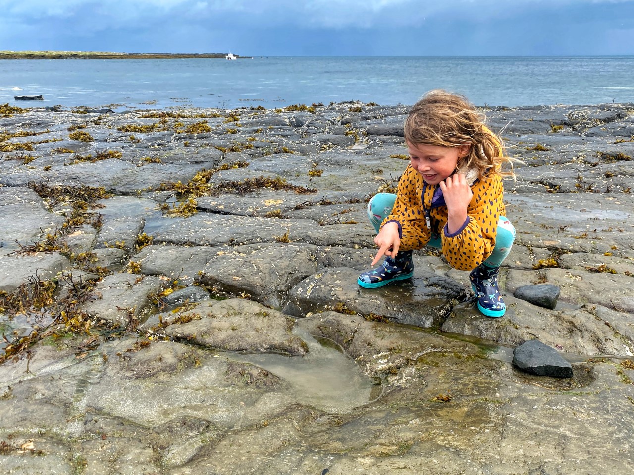 child looking at dinosaur footprint