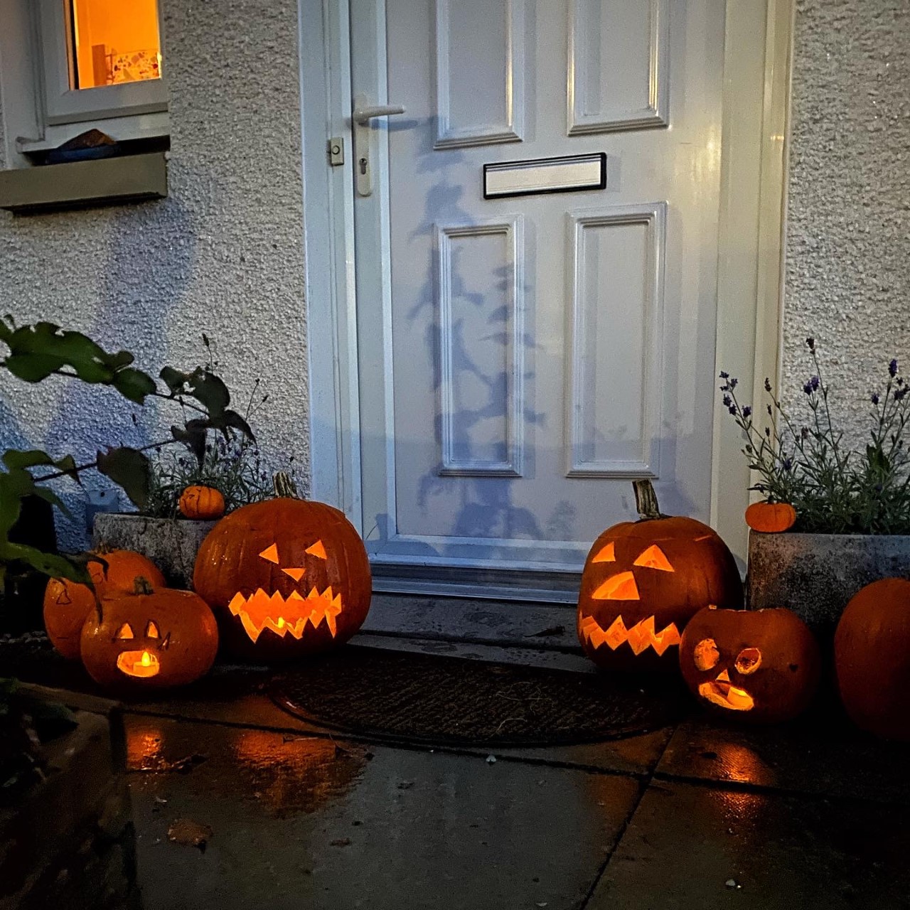 carved pumpkins at a door