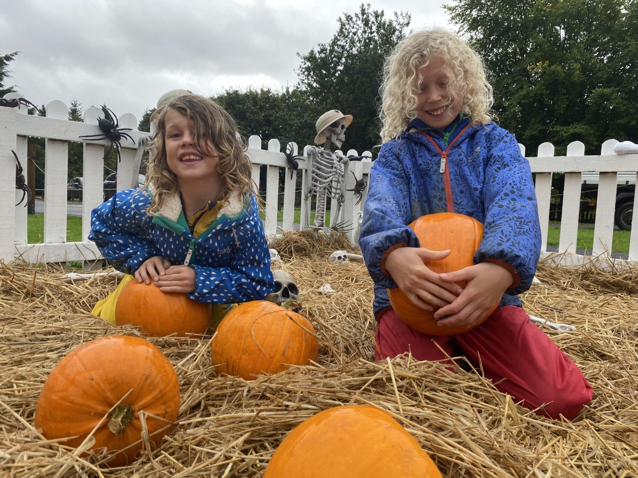 pumpkins at Blairdrummond