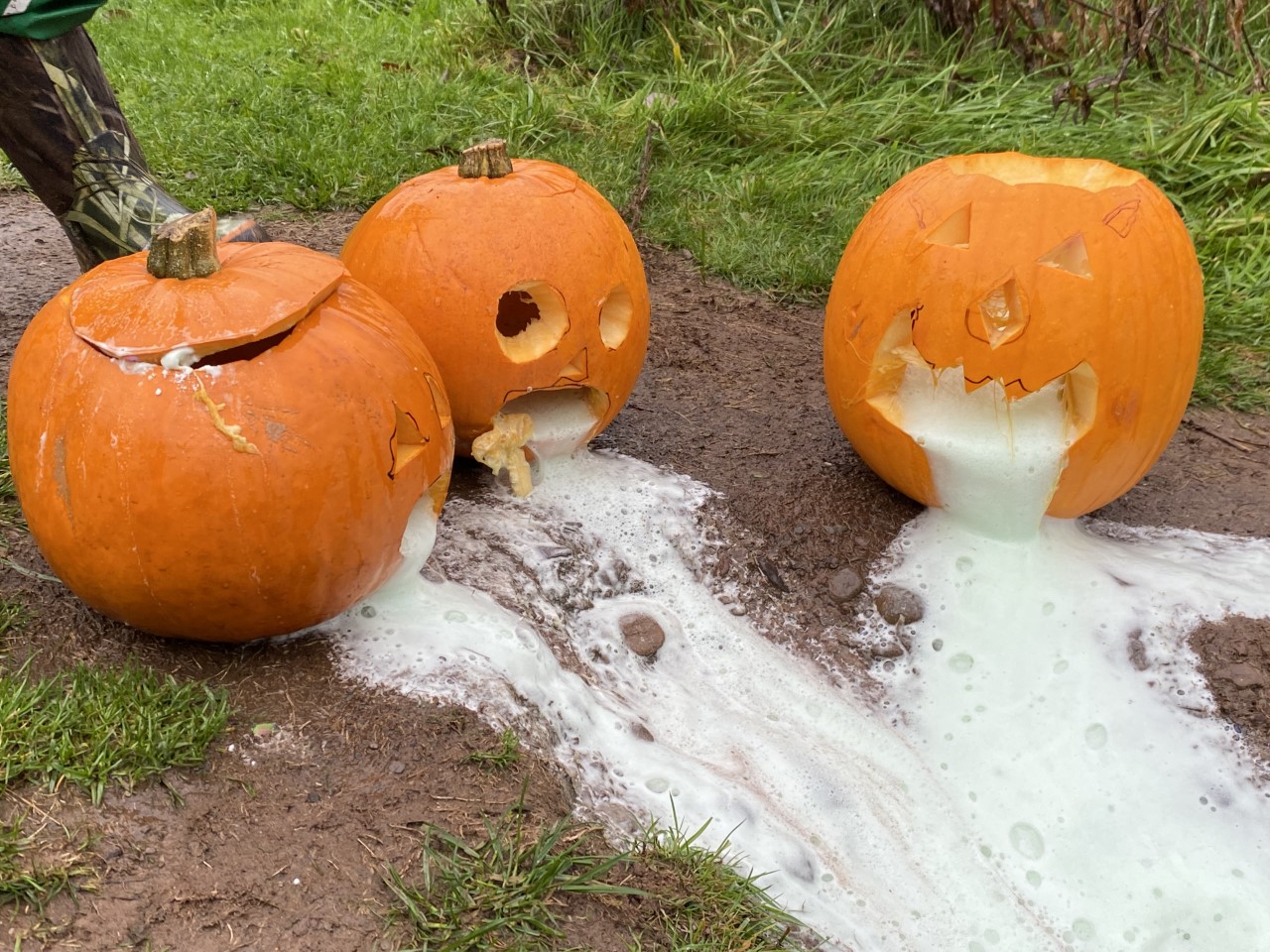 pumpkin science project