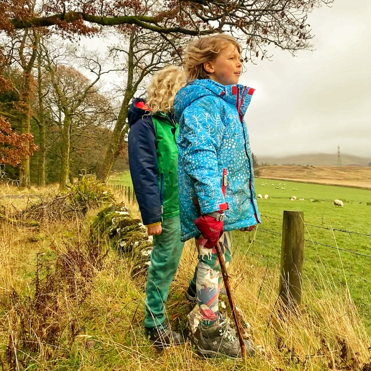 children staring across a field