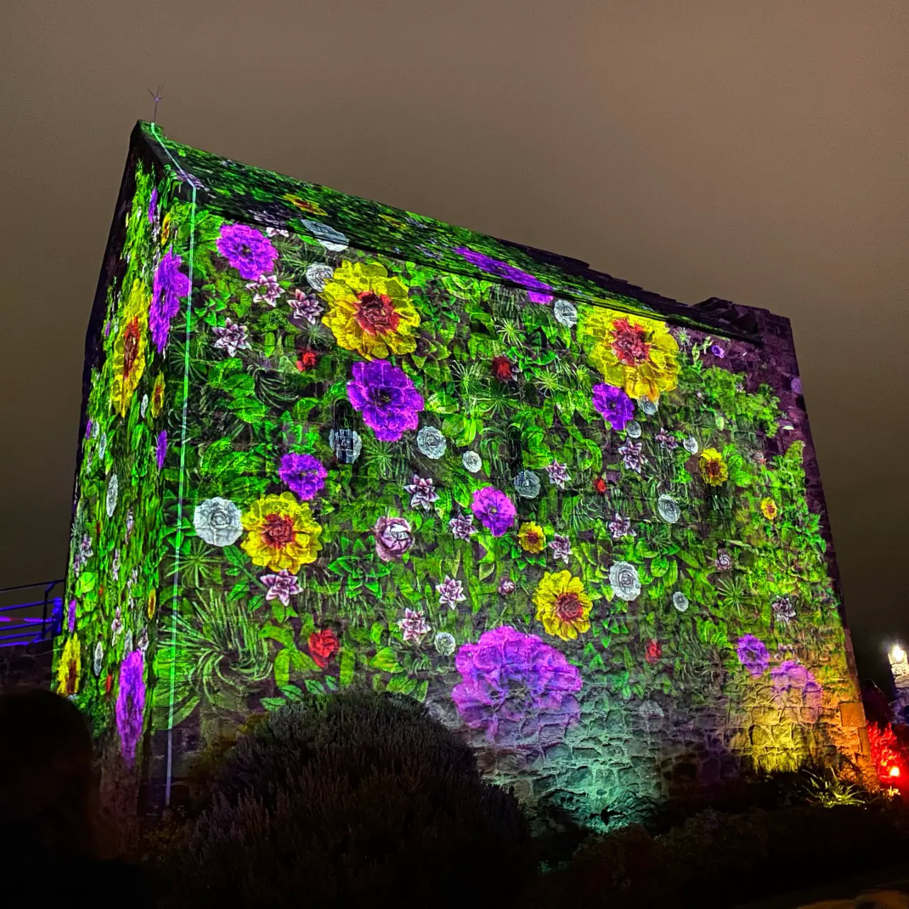 Castle of Light flowers appearing on building