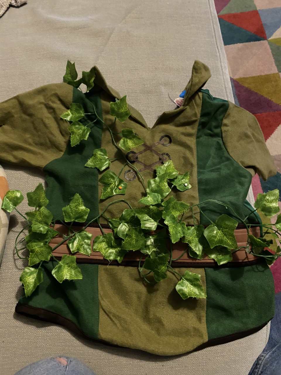 child's panto costume