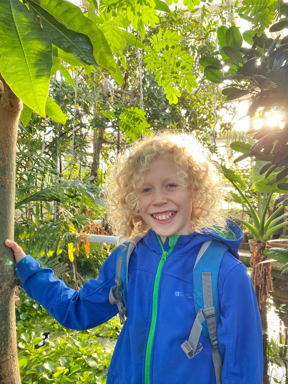 jungle in Copenhagen