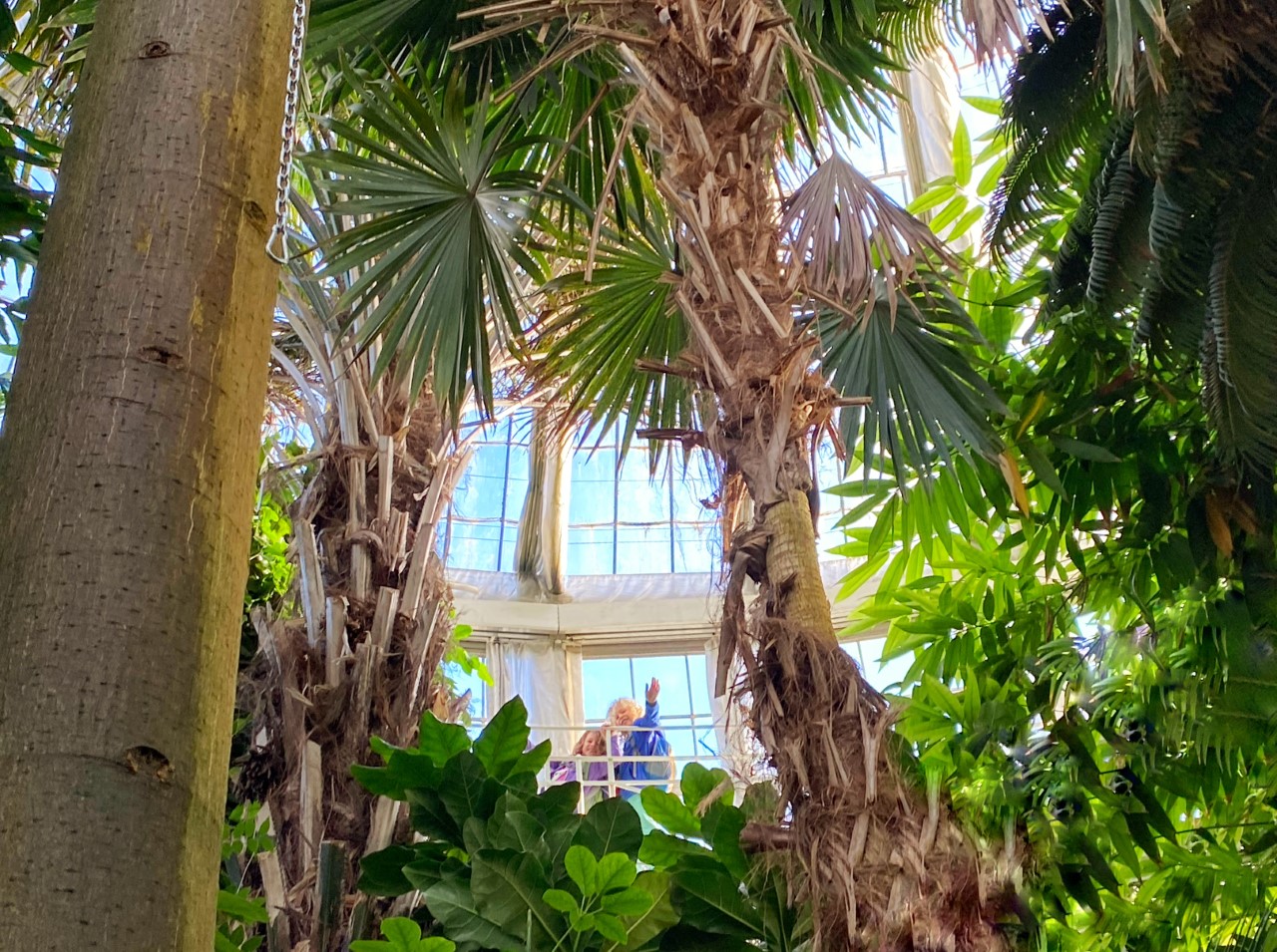botanic gardens Copenhagen
