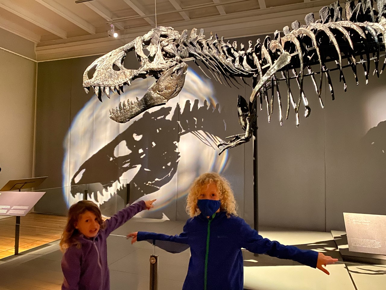Natural History Museum Copenhagen