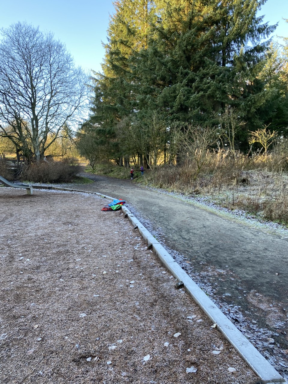 playing in the woods