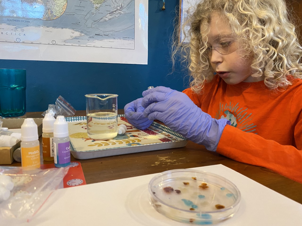 MEL science kit