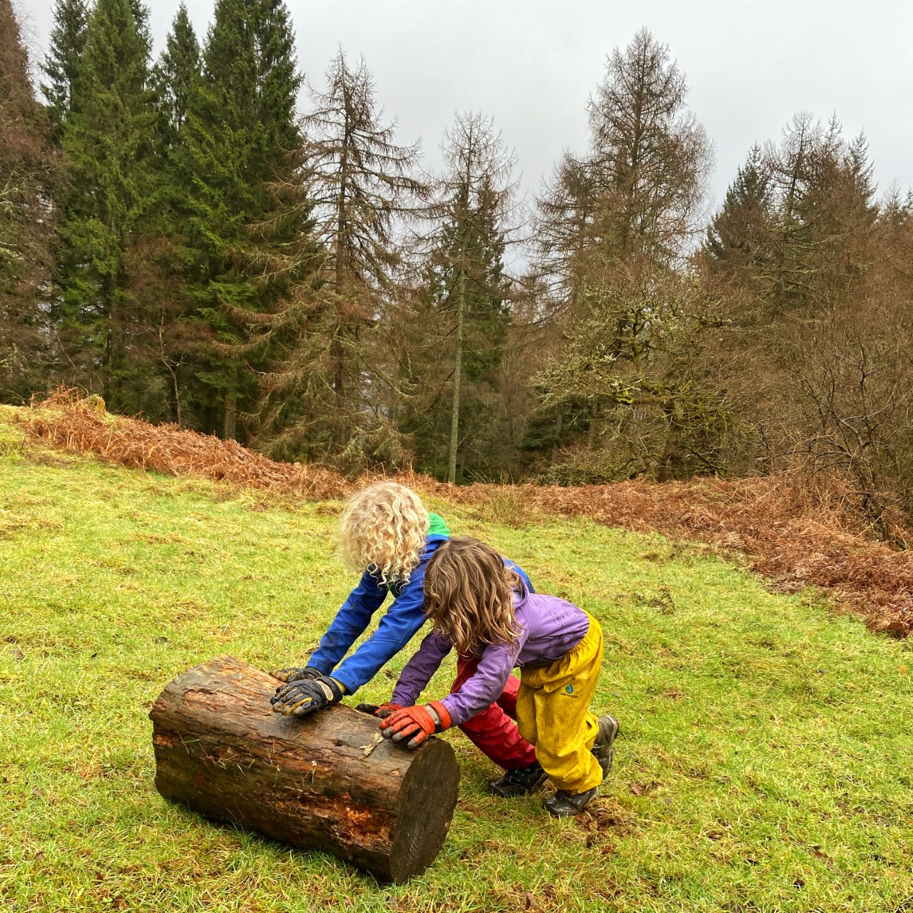 children rolling a log