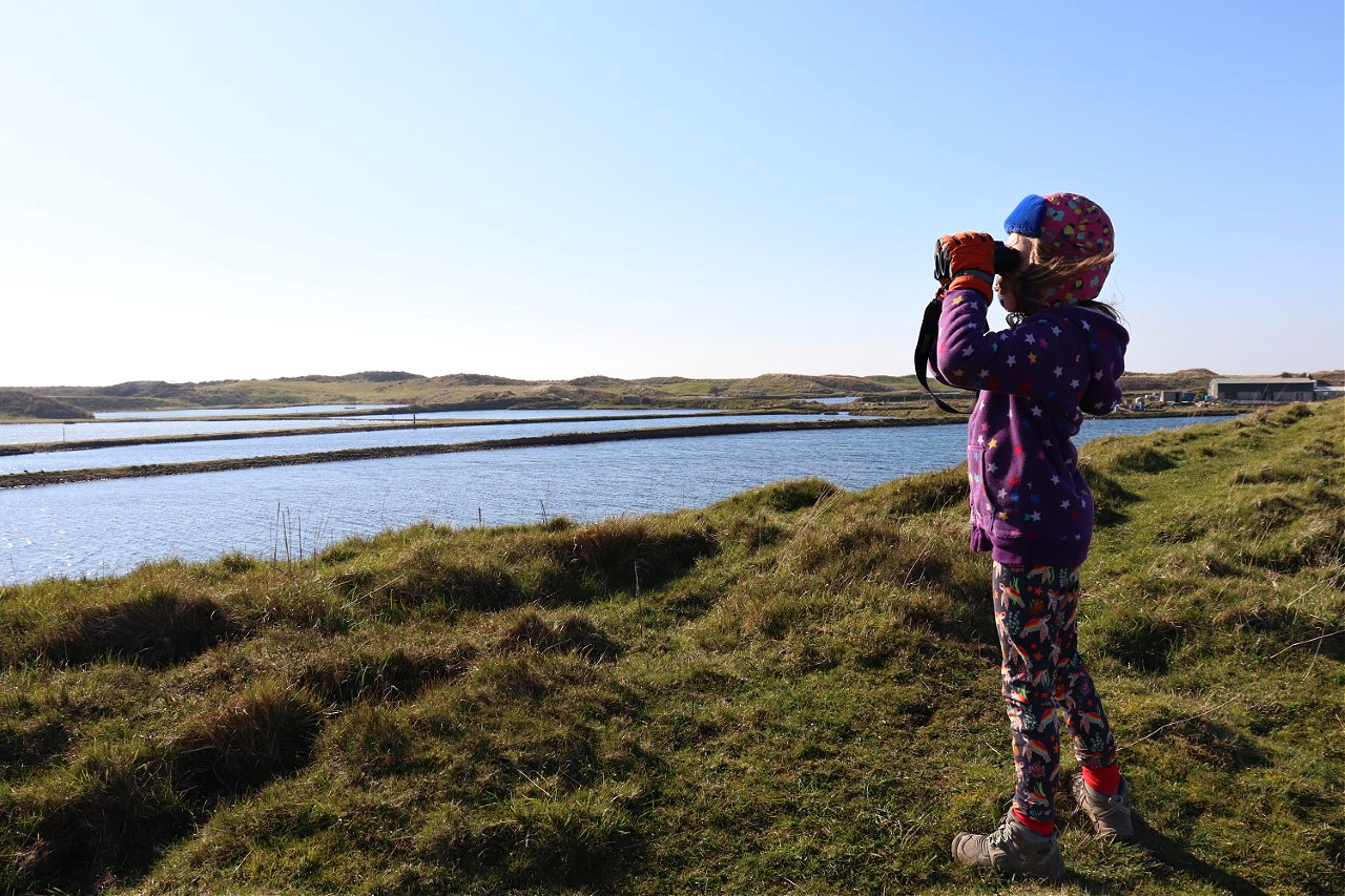 child using binoculars to watch birds at South Walney Nature reserve